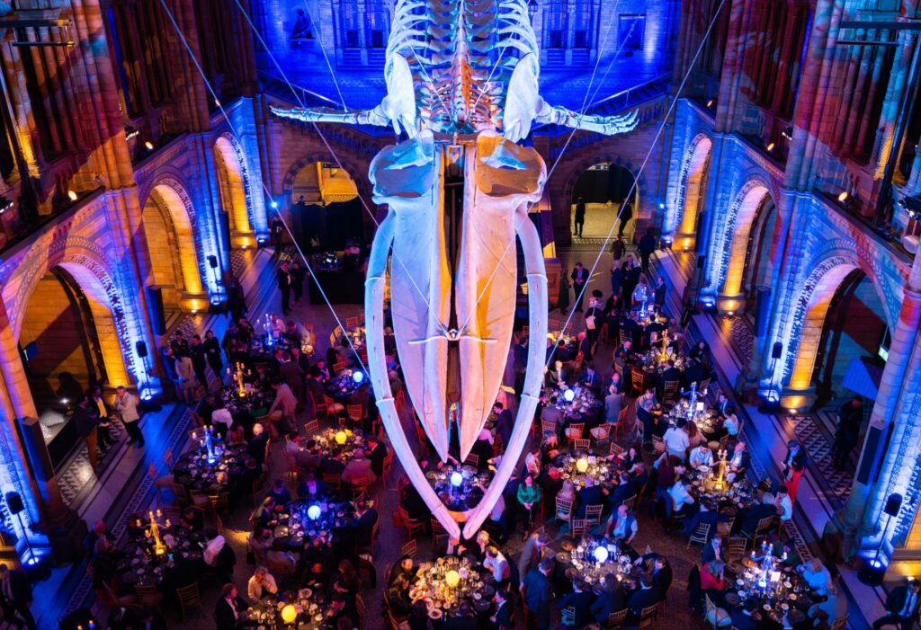 corporate event